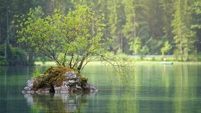 Laf sokucu sözler 2024