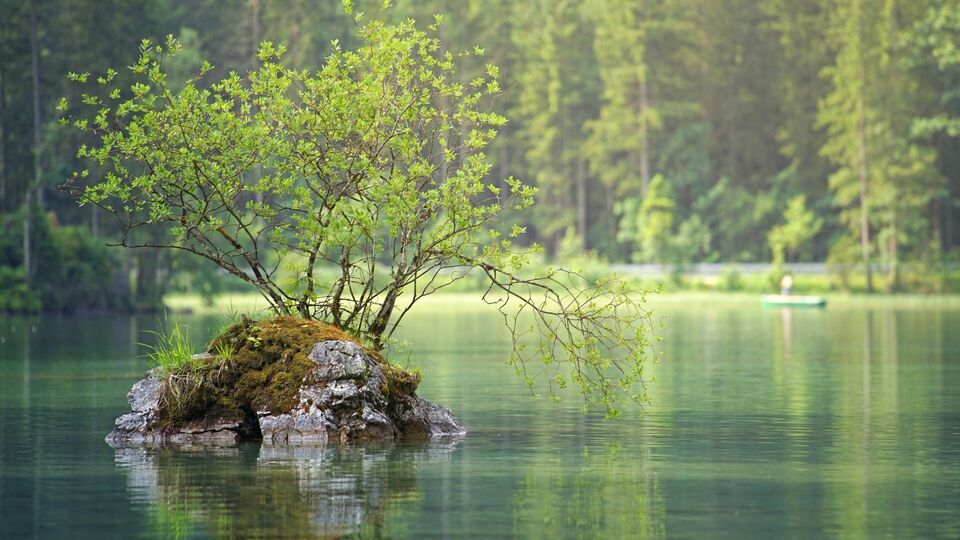 Laf sokucu sözler 2024