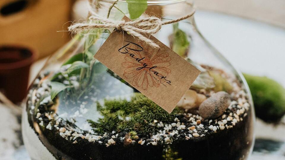 Diba isminin anlamı nedir?