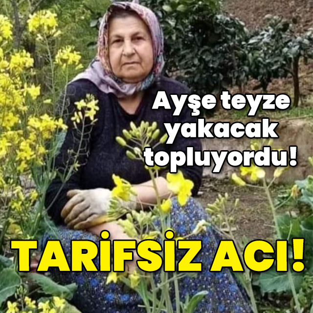 Ayşe teyze yakacak topluyordu! Tarifsiz acı!