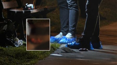 Kediler poşetle oynuyordu! Parkta Cenin!