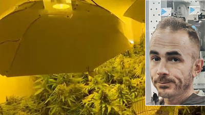 İklimlendirmeli uyuşturucu serası kurmuş! Pişkin savunma!