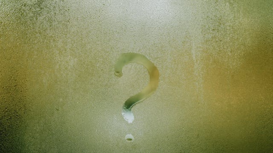 Polen isminin anlamı nedir?