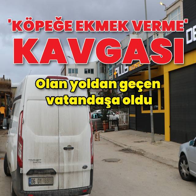 'Köpeklere ekmek verme' kavgası! 1 ölü, 1 yaralı