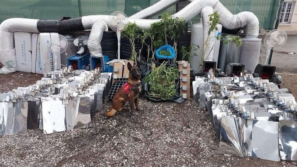 Ankara'da 10 kilo esrar ele geçirildi: 1 gözaltı