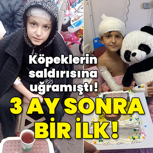 Köpeklerin saldırısına uğramıştı! 3 ay sonra bir ilk!