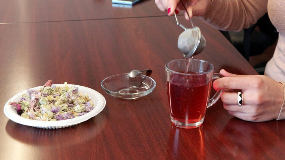 Doktor yerine aktara gidenler için hayati uyarı!