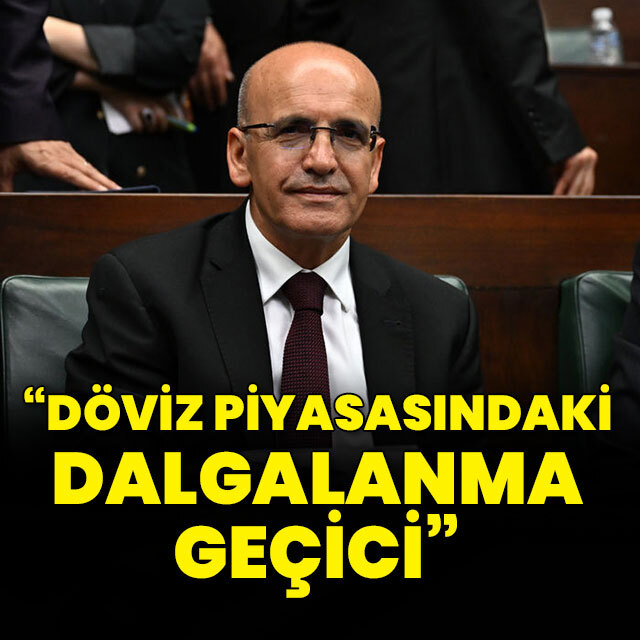 "Döviz piyasasındaki dalgalanma geçici"