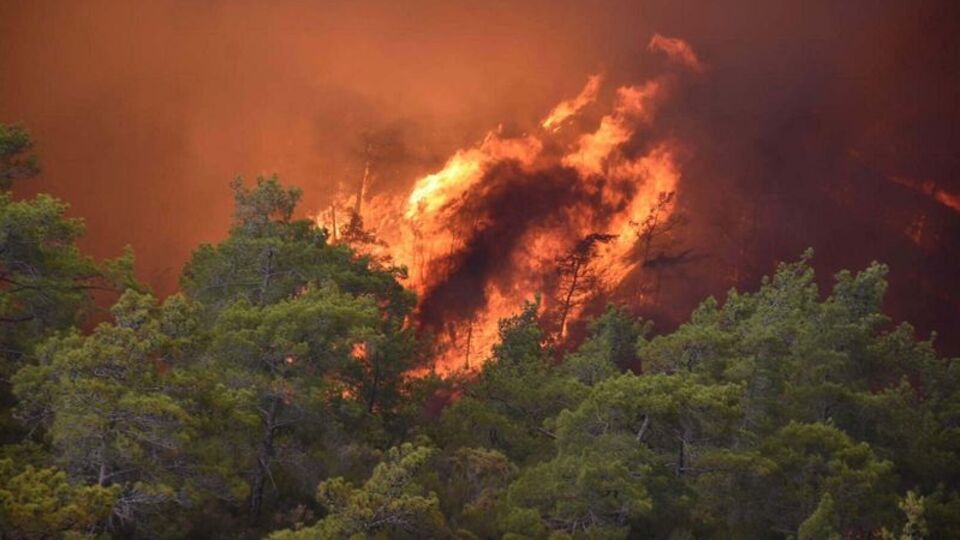 Marmaris orman yangınının failine 19 yıl hapis ve para cezası verildi