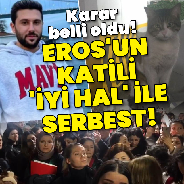 Sitede vahşice öldürülen kedi Eros davasında yeni karar!