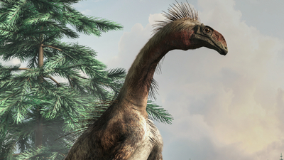  Günümüzde var olmayan 10 ilginç hayvan!