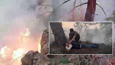 Isınmak için ormanı yaktı!