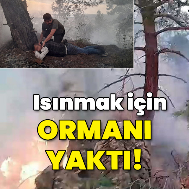 Isınmak için ormanı yaktı!