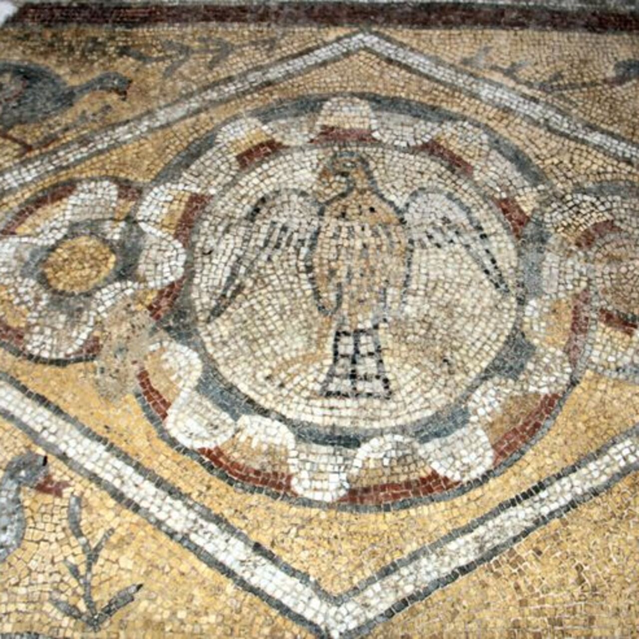 1600 yıllık mozaikler turizme katkı sunacak
