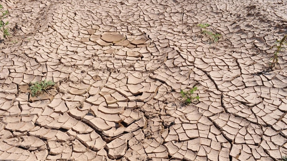 "Türkiye'nin iklimi Mısır'a benzeyebilir"