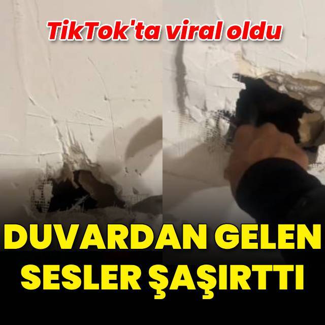 TikTok'ta viral oldu... Duvarın ardından gelen sesler şoke etti