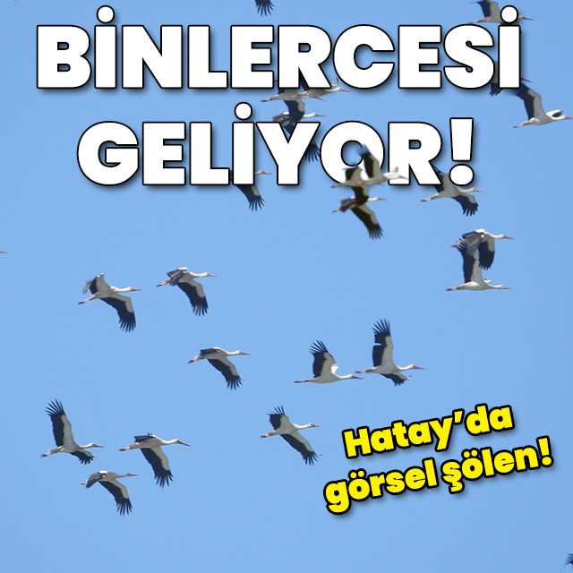 Hatay semalarında görüldü