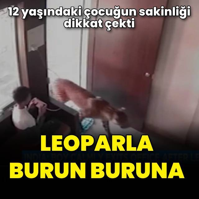 12 yaşındaki çocuk leoparla burun buruna!