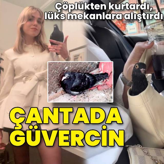 Çöplükten kurtardı, lükse alıştırdı! Milyonlarca izleniyor