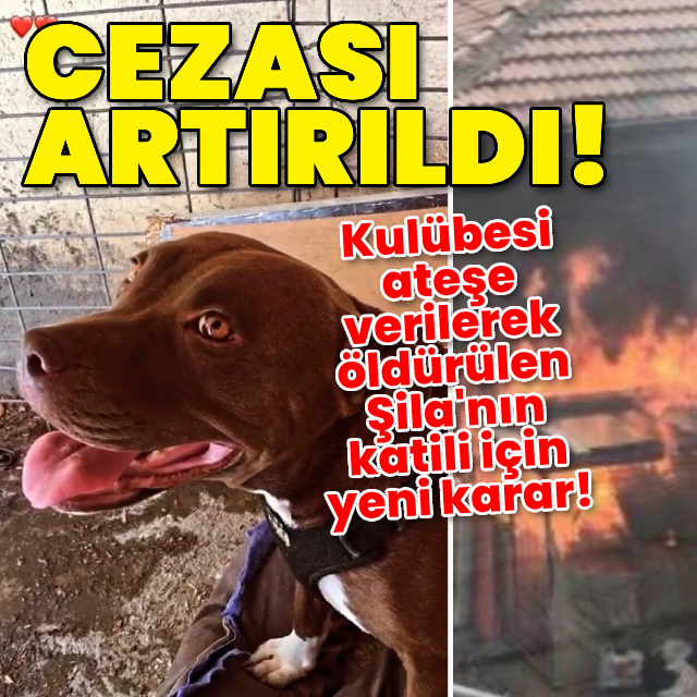 Yakılarak öldürülen Şila'nın katili için yeni karar!