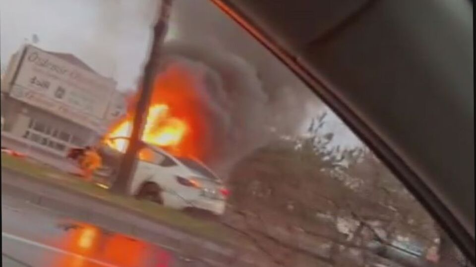 Ağaca çarpan araç alev aldı!