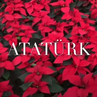 Atatürk çiçeği bakımı nasıl yapılır?