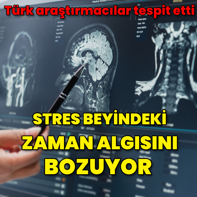 Stres beyindeki zaman algısını bozuyor!