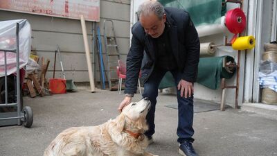 Aile hekimi yaralanmıştı! Kont'a 700 bin TL'lik tazminat!