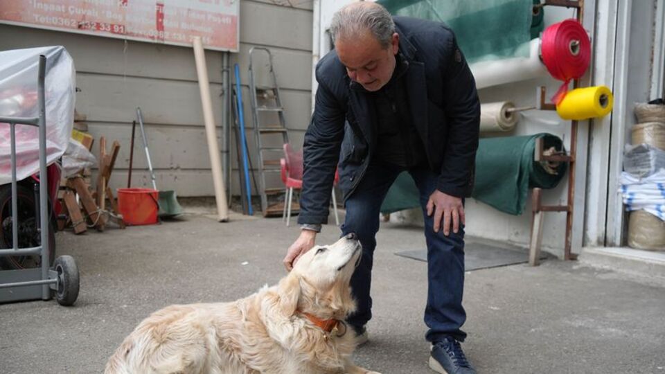 Aile hekimi yaralanmıştı! Kont'a 700 bin TL'lik tazminat!