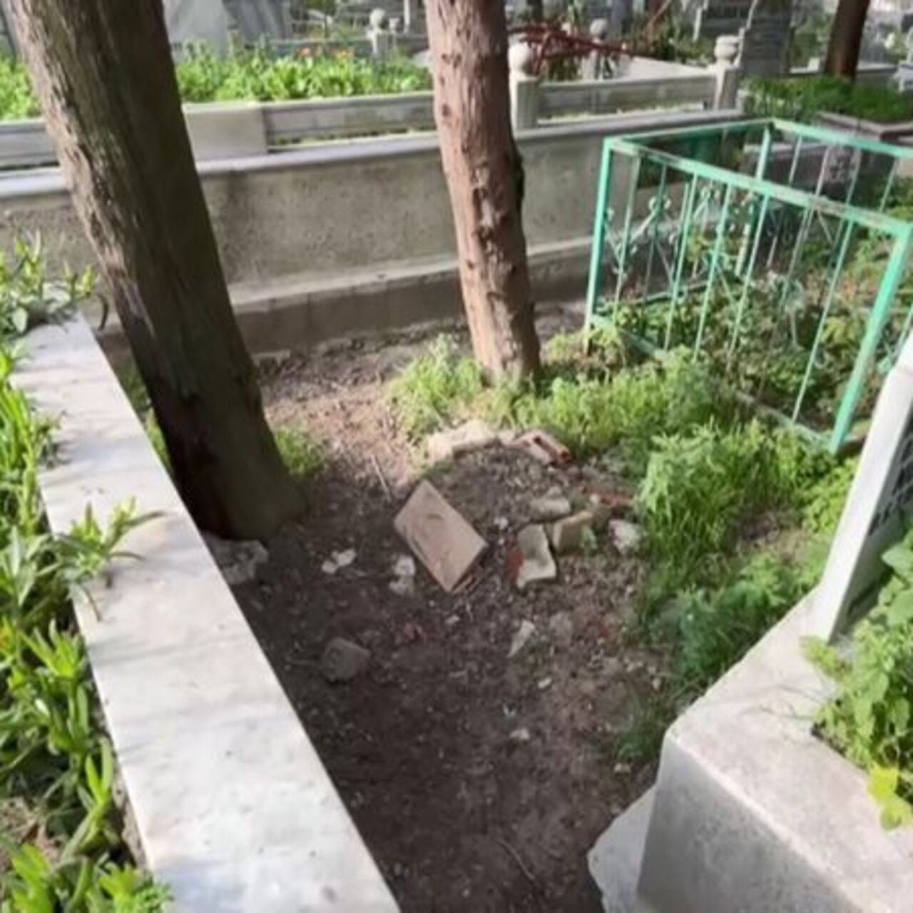 20 yıl önce 15 aylık Armağan'ı öldürmüştü! Cani babayla ilgili flaş gelişme!