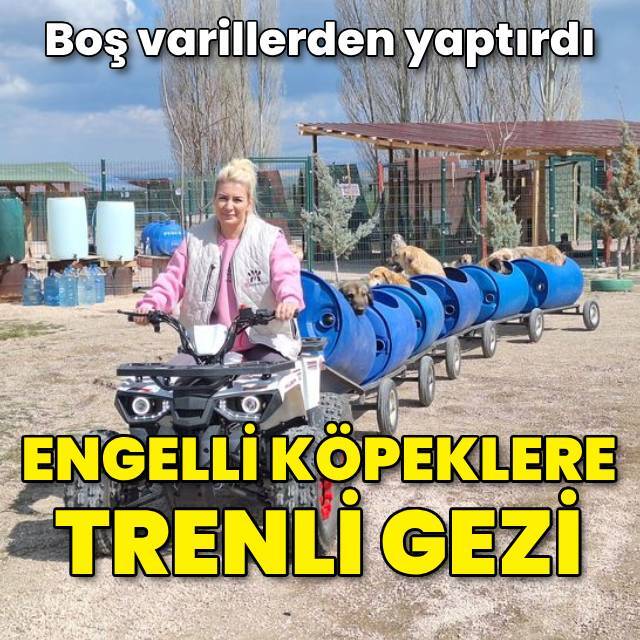 Engelli köpeklere trenli gezi