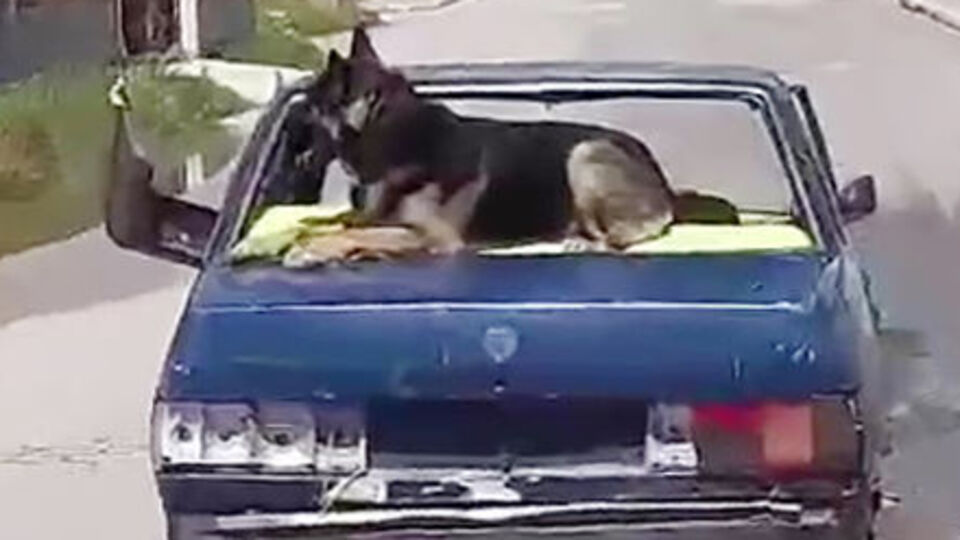 Trafikte şaşkına çeviren anlar!