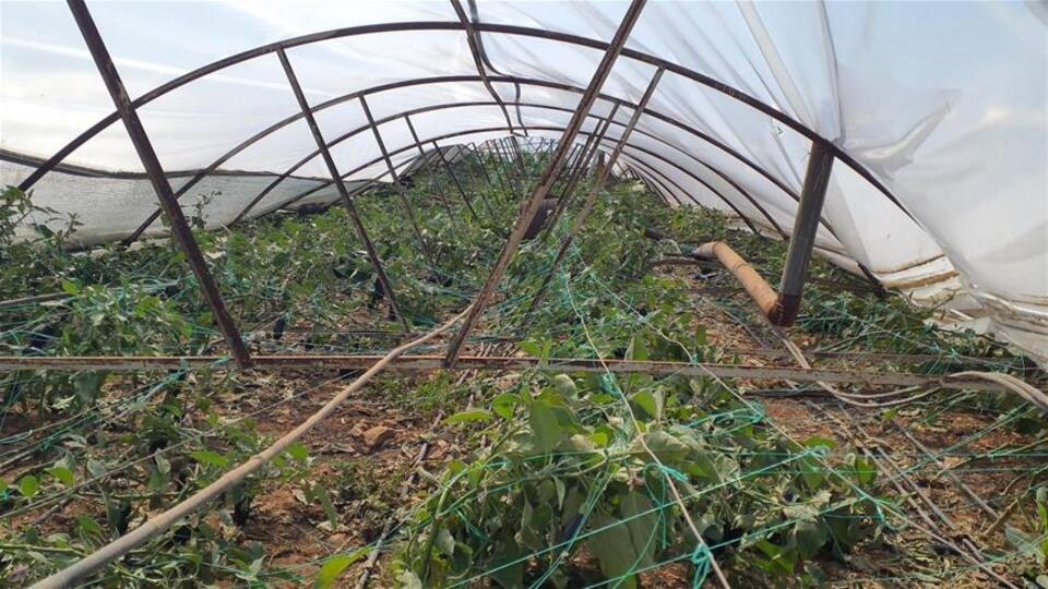 TARSİM'den 39 milyon TL ödeme