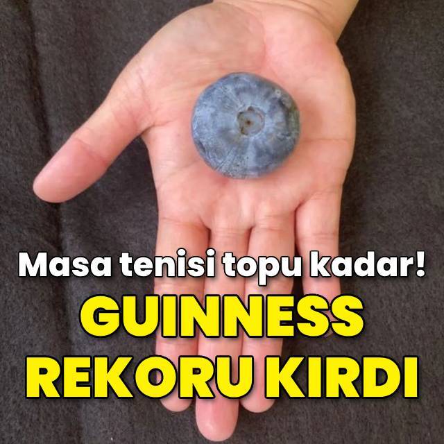 Masa tenisi topu kadar! Guinness rekoru kırdı