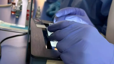 Salgın hastalıklara karşı yerli tanı kiti