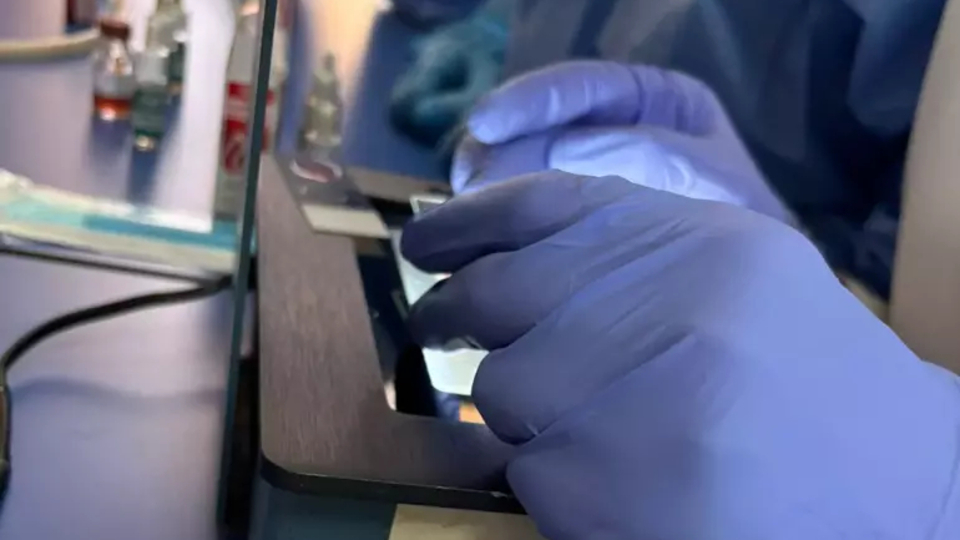 Salgın hastalıklara karşı yerli tanı kiti