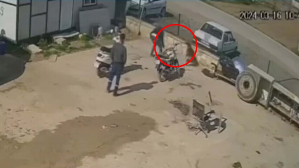 Kedisini öldüren köpeği hortumla dövdü