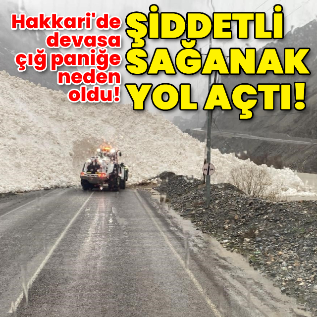 Hakkari'de devasa çığ paniğe yol açtı!