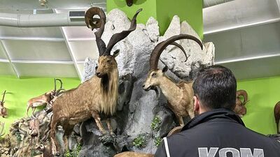 Dolduruşmuş hayvanat bahçesi ele geçirildi!