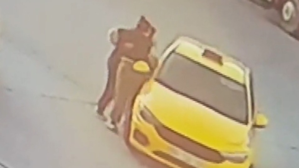 Anne ve kızın taksi öfkesi!