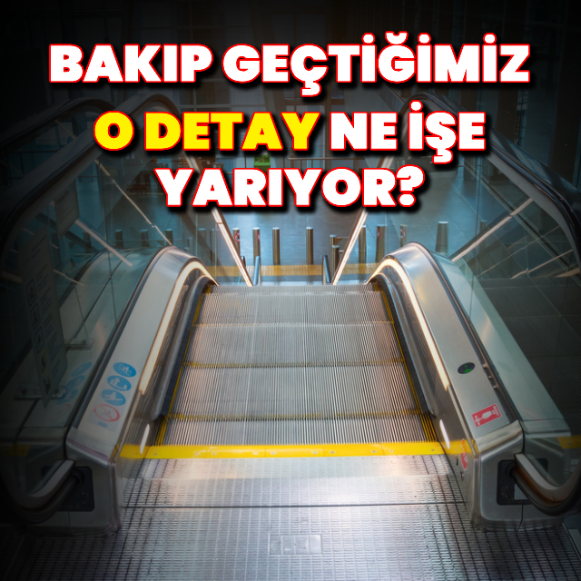 Yürüyen merdivendeki fırçalar ne işe yarar?