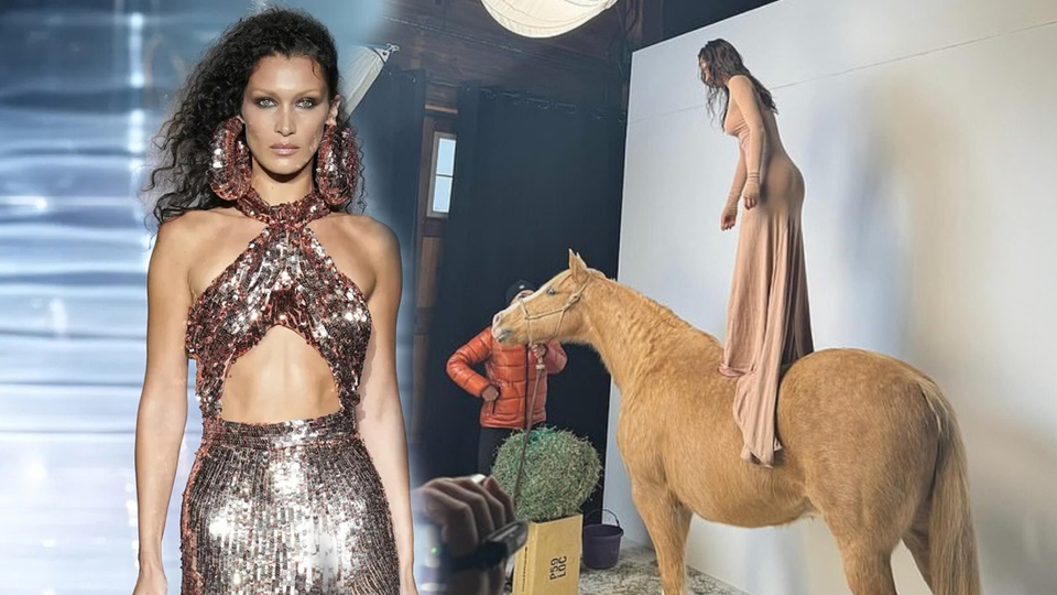 Bella Hadid'e at tepkisi