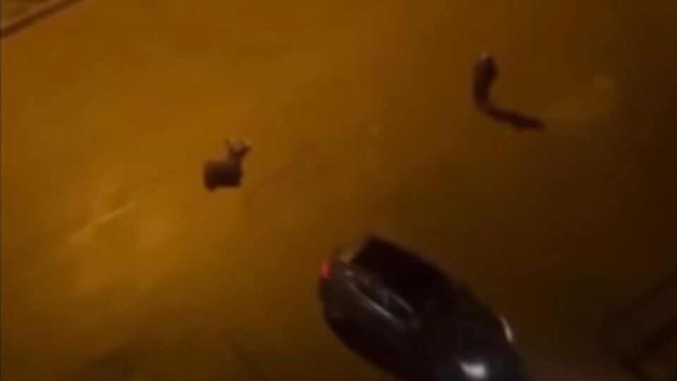 Çifte cinayetin failinden kan donduran paylaşım!