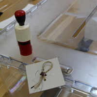 Seçimler için geri sayım başladı!