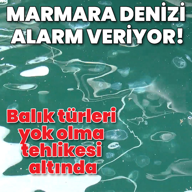 Marmara Denizi alarm veriyor!