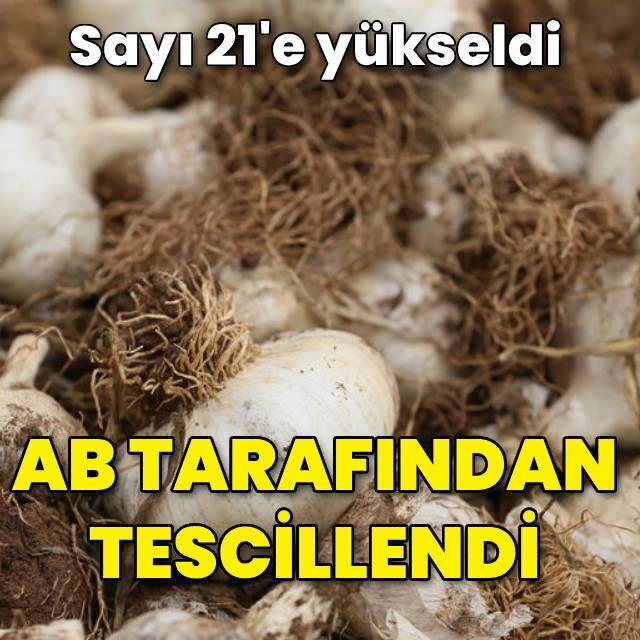 Araban sarımsağına AB'den coğrafi işaret