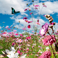 En güzel Nevruz mesajları