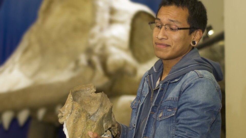 16 milyon yıllık kafatası bulundu