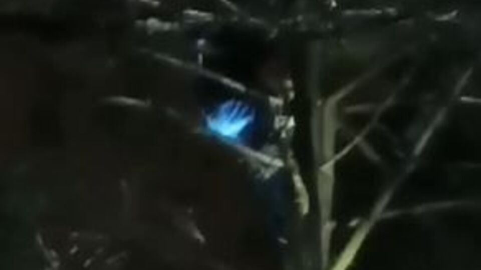 Canavar 5 ay önce de ağaca çıkarak tacizde bulunmuş!