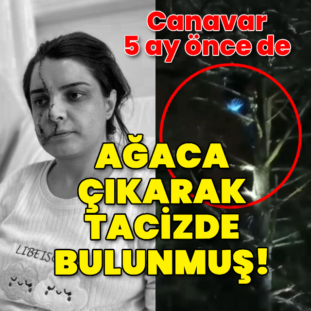 Canavar 5 ay önce de ağaca çıkarak tacizde bulunmuş!